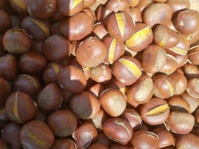 板栗批发糖炒栗子炒熟现炒即食开口糖炒栗子大个带壳甘栗坚果零食图3