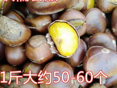 板栗批发糖炒栗子炒熟现炒即食开口糖炒栗子大个带壳甘栗坚果零食图2