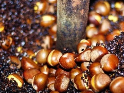 板栗批发熟炒熟糖炒栗子山东仁新鲜甜糯即食现炒散装坚果零食礼盒图4