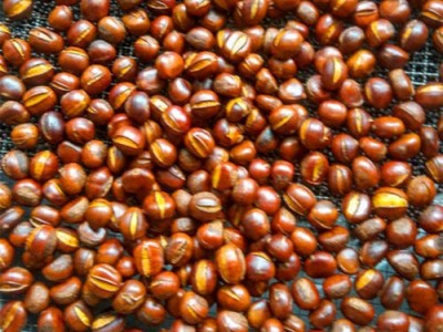 板栗批发熟炒熟糖炒栗子山东仁新鲜甜糯即食现炒散装坚果零食礼盒图1