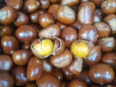 板栗批发熟炒熟糖炒栗子山东仁新鲜甜糯即食现炒散装坚果零食礼盒图5