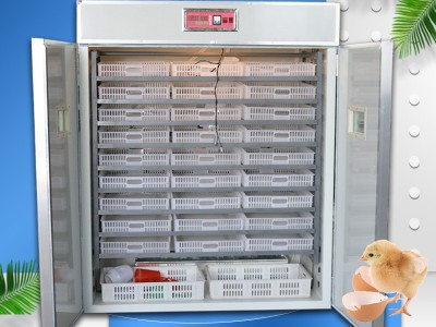 可定制1056枚鸡苗孵化机全自动孵化器小型家用孵化箱图4