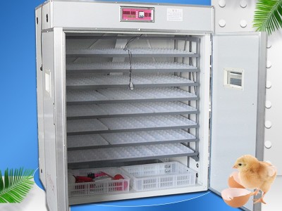 可定制1056枚鸡苗孵化机全自动孵化器小型家用孵化箱图3