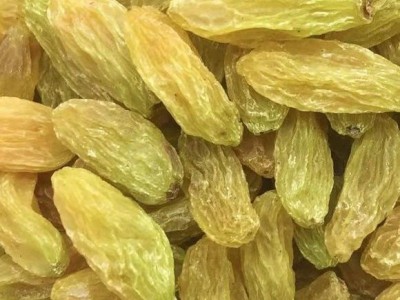 新疆特产葡萄干无核白葡萄干大颗粒无核零食蜜饯干果葡萄干批发图3