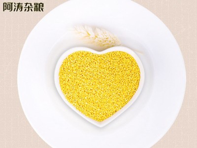 东北特产 农家黄小米10斤/袋 宝宝米 月子米 原生黄小米厂家批发图3