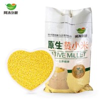 东北特产 农家黄小米10斤/袋 宝宝米 月子米 原生黄小米厂家批发