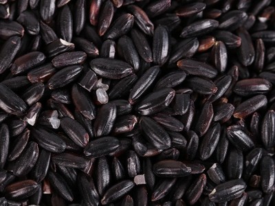 批发满榆粮仓黑米1kg/袋 东北特产 五谷杂粮 诚招代理 袋装 黑米图3