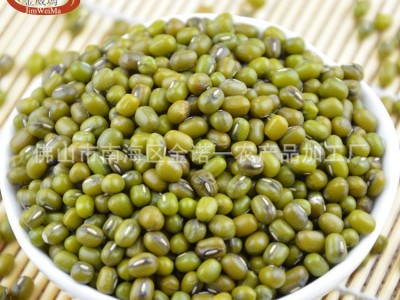 【厂家批发】金威玛缅甸油绿豆明绿豆 绿豆沙绿豆粥原料图2