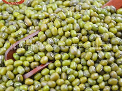 【厂家批发】金威玛缅甸油绿豆明绿豆 绿豆沙绿豆粥原料图4