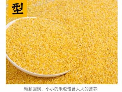 东北黄小米2020新米粗粮粥米小包装吉林特产富硒小米粥月子米图4