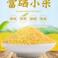 东北黄小米2020新米粗粮粥米小包装吉林特产富硒小米粥月子米