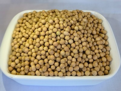 批发农家五谷杂粮有机黄豆真空散装300g磨粉豆浆豆制品原料大豆图2