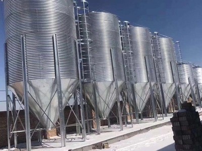 可定制新型饲喂机械 猪场自动喂料系统畜牧养殖业自动化饲喂设备图5
