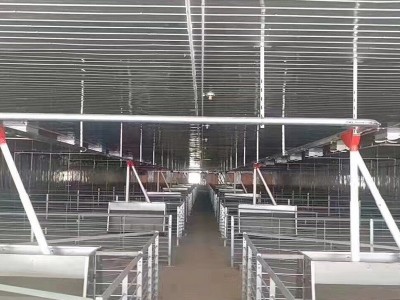 可定制新型饲喂机械 猪场自动喂料系统畜牧养殖业自动化饲喂设备图4