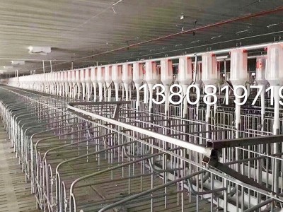 自动饲喂系统工厂供应饲喂料线料塔自动料线配件养猪PVC下料软管图5