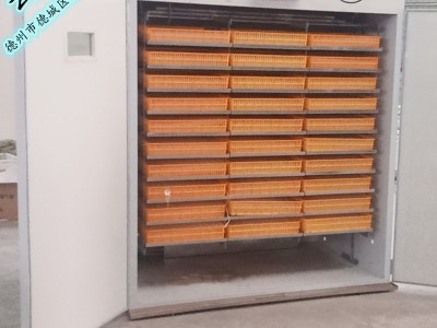家用孵化器 家禽孵蛋机蛋车5280枚小鸡孵化出雏一体机 小型孵化机图2