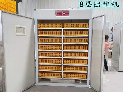 家用孵化器 家禽孵蛋机蛋车5280枚小鸡孵化出雏一体机 小型孵化机图4