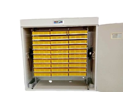 家用孵化器 家禽孵蛋机蛋车5280枚小鸡孵化出雏一体机 小型孵化机图5