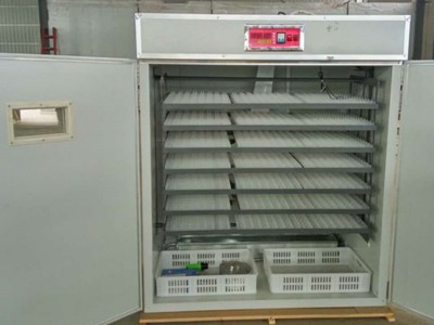 源头厂家跨境全自动智能大中小型孵化家禽家用型鸡鸭鹅蛋 孵蛋器图4