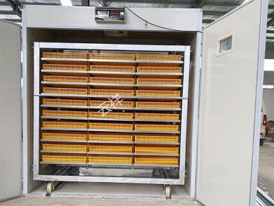 孵化机孵化器家禽鸡鸭鹅蛋推车孵化设备蛋车家用小型全自动孵蛋器图3