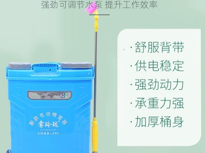 厂家直销背负式16升20升农用电动打药机 12v消毒喷雾机电动喷雾器图4