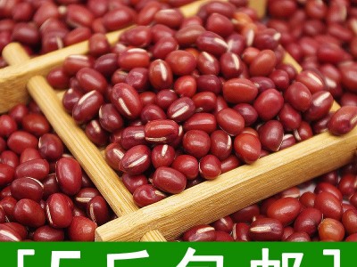 东北大红豆　大赤豆　红小豆新货质量比较均匀饱满500g图4