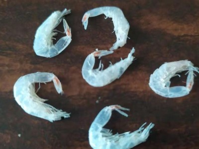虾皮 海鲜 虾皮 干虾皮调味料 汤料提鲜虾皮 鲁滨海产图4