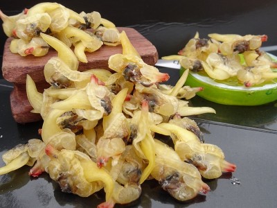 北海批发黄花甲螺肉干 黄蚬子 500g 一件代发 够干 海鲜干货图2