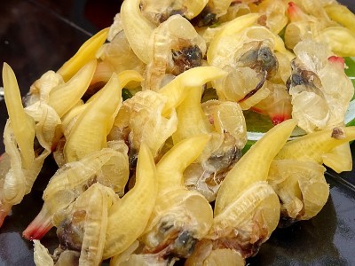 北海批发黄花甲螺肉干 黄蚬子 500g 一件代发 够干 海鲜干货图4