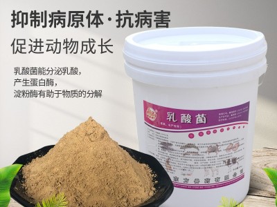 乳酸菌 水产饲料添加剂 海参鱼虾河蟹调理肠道 调节水质 菌种图3