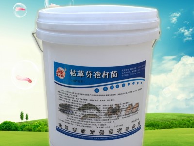 枯草芽孢杆菌 水产添加剂 微生物制剂 200亿菌种 水产底质改良剂图3