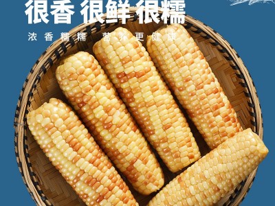 即食玉米3斤甜糯小玉米熟食免煮云南西双版纳特产早餐代餐批发图4