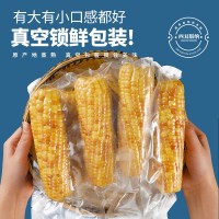 即食玉米3斤甜糯小玉米熟食免煮云南西双版纳特产早餐代餐批发