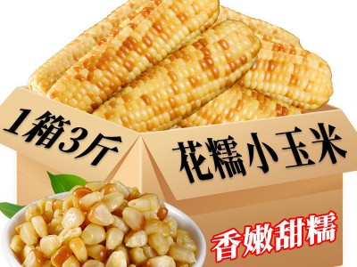 即食玉米3斤甜糯小玉米熟食免煮云南西双版纳特产早餐代餐批发图2