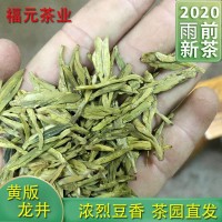 2022新茶明前黄版龙井茶一芽两叶浓豆香绿茶茶叶茶园直销龙井绿茶