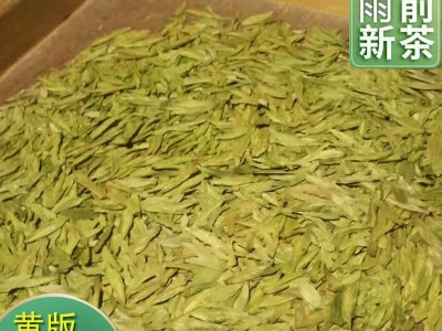 2022新茶明前黄版龙井茶一芽两叶浓豆香绿茶茶叶茶园直销龙井绿茶图2