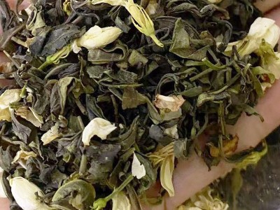 2022年新茶茉莉花茶浓香型茉莉绿茶批发奶茶店原料厂家批发茶叶图3
