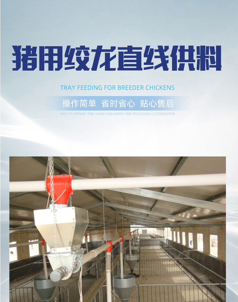 详情_01.jpg