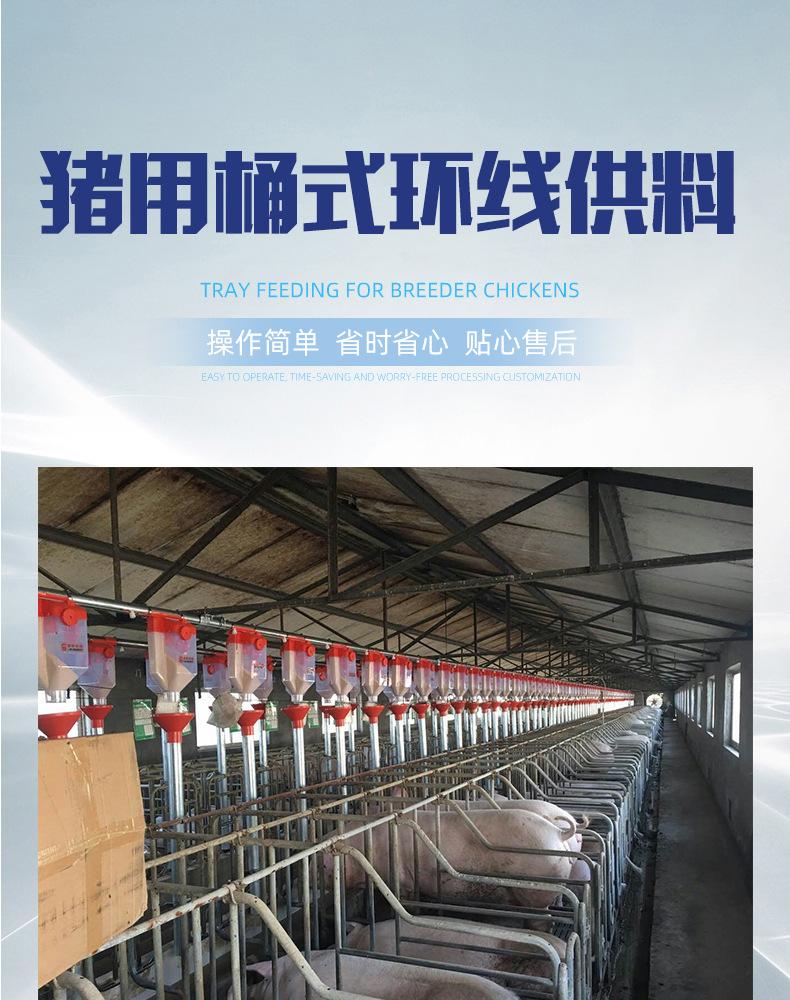 详情_01.jpg
