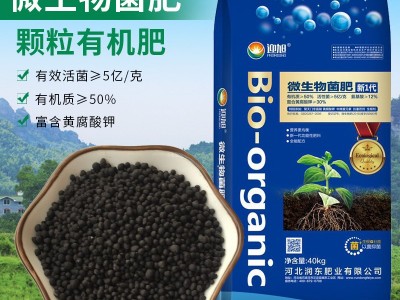 玉米口肥 玉米专用有机肥 吉林东三省玉米种植复合微生物菌肥图4