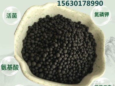 玉米口肥 玉米专用有机肥 吉林东三省玉米种植复合微生物菌肥图2