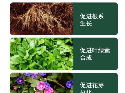 黄腐酸钾肥料化肥 生物有机肥适用于各类家庭园艺植物有机肥图4