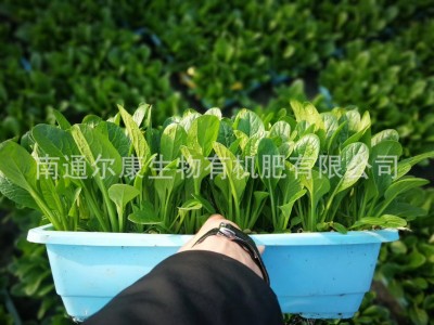 厂家供应花卉 蔬果有机肥料 花卉适用肥 有机肥批发图3