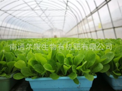 厂家供应花卉 蔬果有机肥料 花卉适用肥 有机肥批发图4