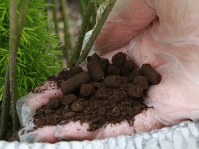 厂家批发颗粒有机肥蔬菜水果绿植用生物肥料羊粪有机肥图2