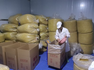 桂花厂家 22年新鲜桂花 广西桂林人工挑选低温烘赔桂花干 干花图4