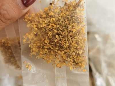 广西桂花 桂花干微波真空脱水冻干黄金桂花干花 可定制小茶袋图2