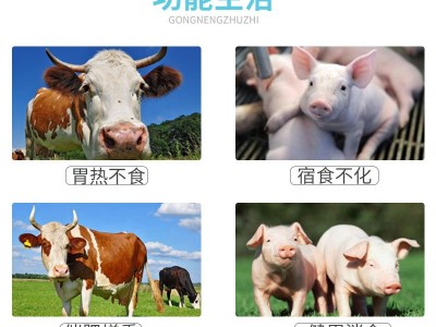 兽用肥猪王维生素b12催肥促长混合型饲料添加剂健胃消食益气健脾图2