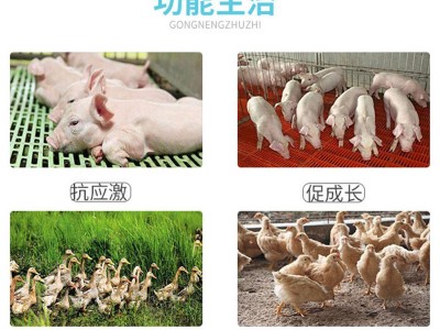 兽用速效鱼肝油粉 猪牛羊鸡鸭鹅禽用维生素AD3E粉 抗应激多维促长图2