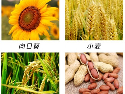 五谷盈叶面肥花卉肥料多肉肥料大量元素水溶肥料遇水即溶植物营养图4